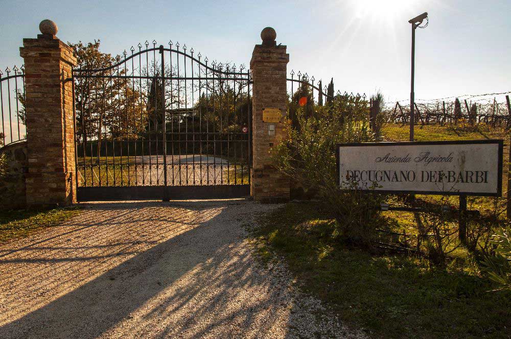 Decugnano dei Barbi